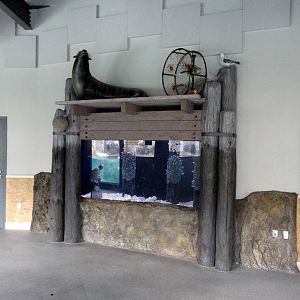 Rocky Shores - Small Aquarium