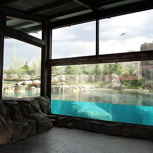 Rocky Shores - Polar Bear Exhibit