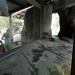 Rocky Shores - Polar Bear Exhibit