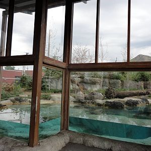 Rocky Shores - Polar Bear Exhibit