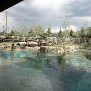 Rocky Shores - Polar Bear Exhibit