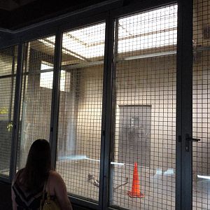 Rocky Shores - The Bear Den