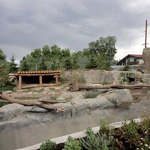 Rocky Shores - Grizzly Bear Exhibit