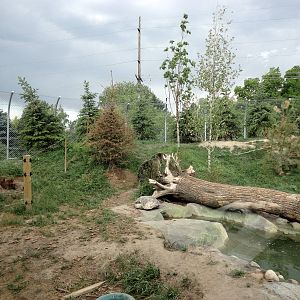 Rocky Shores - Grizzly Bear Exhibit
