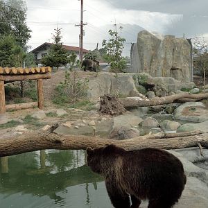 Rocky Shores - Grizzly Bear Exhibit