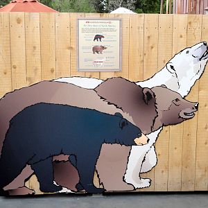Rocky Shores - Bear Size Graphic