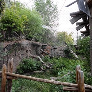 Asian Highlands - Pallas Cat Exhibit