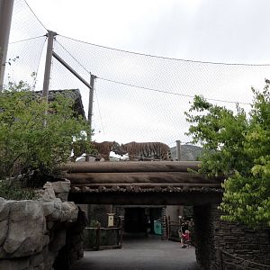 Asian Highlands - Tiger Bridge
