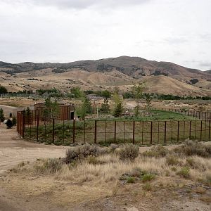 Grizzly Bear Exhibit