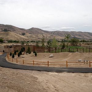 Grizzly Bear Exhibit