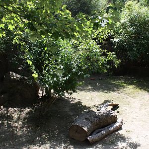 Australasia- Parma Wallaby Exhibit