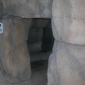 Polar Bear Den