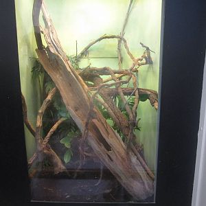 Jul. 2012-Blue Tree Monitor exhibit