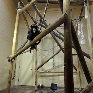 DeBrazza's Monkey Indoor Exhibit
