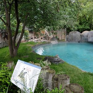 Black-footed Penguin Exhibit