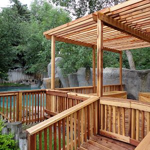 Penguin Interaction Area