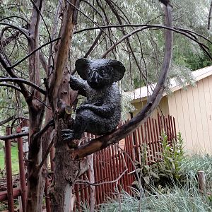 Koala Statue