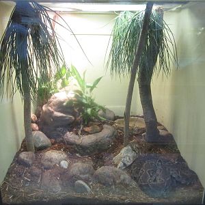 Jul. 2012-Terciopelo exhibit