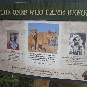 Jul. 2012-How the Cougars got their names