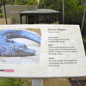 Retile Walk exhibit signs