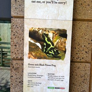 Retile Walk exhibit signs