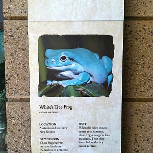 Retile Walk exhibit signs