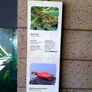 Retile Walk exhibit signs