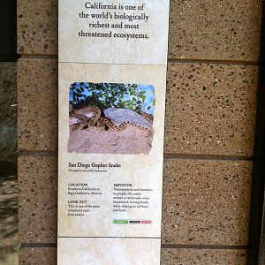 Retile Walk exhibit signs