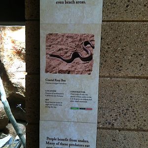 Retile Walk exhibit signs