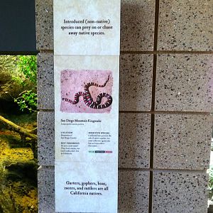 Retile Walk exhibit signs