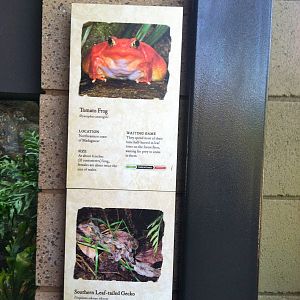 Retile Walk exhibit signs