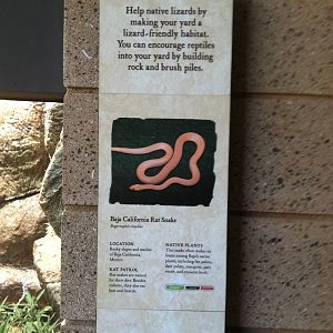 Retile Walk exhibit signs