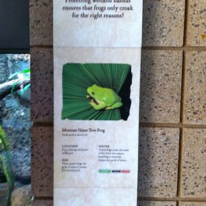 Retile Walk exhibit signs