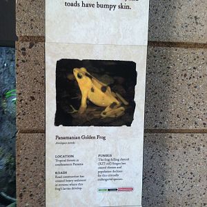 Retile Walk exhibit signs