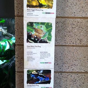 Retile Walk exhibit signs