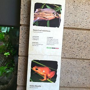 Retile Walk exhibit signs