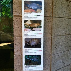 Retile Walk exhibit signs