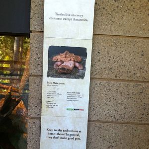 Retile Walk exhibit signs