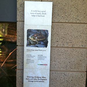 Retile Walk exhibit signs