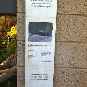 Retile Walk exhibit signs