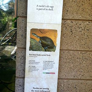 Retile Walk exhibit signs