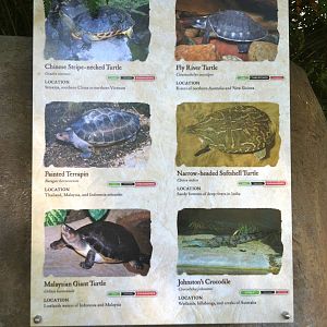 Retile Walk exhibit signs