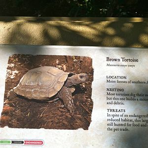 Retile Walk exhibit signs