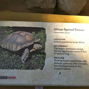 Retile Walk exhibit signs