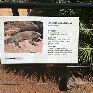 Retile Walk exhibit signs