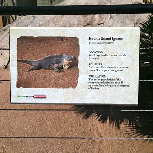 Retile Walk exhibit signs