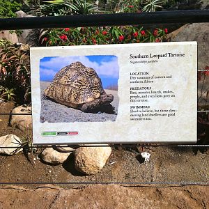 Retile Walk exhibit signs