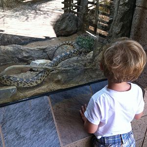 Retile Walk exhibit signs