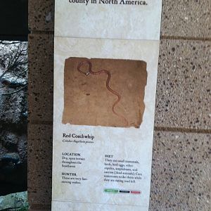 Retile Walk exhibit signs