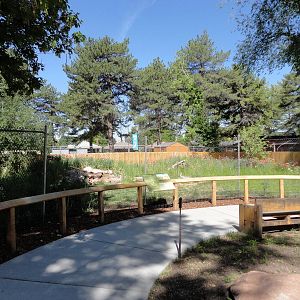 Sandhill Crane Exhibit
